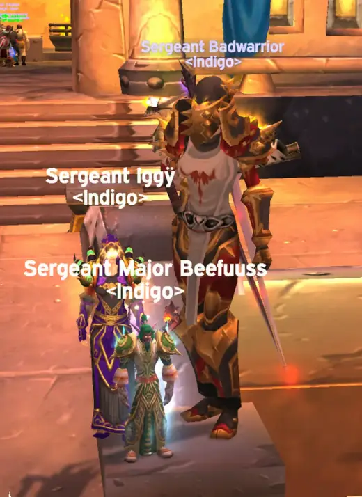 Indigo guild photo
