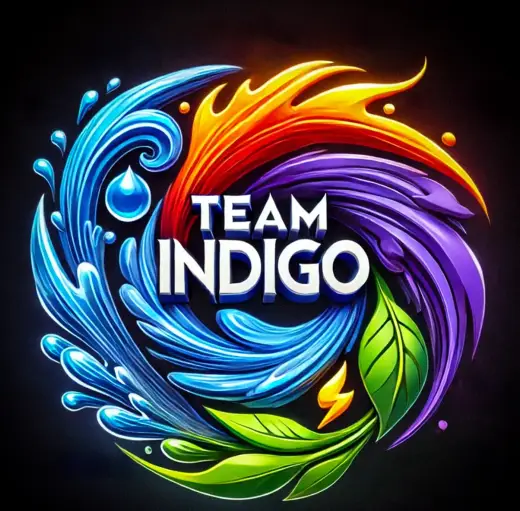 Indigo guild photo
