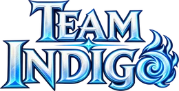 Team Indigo